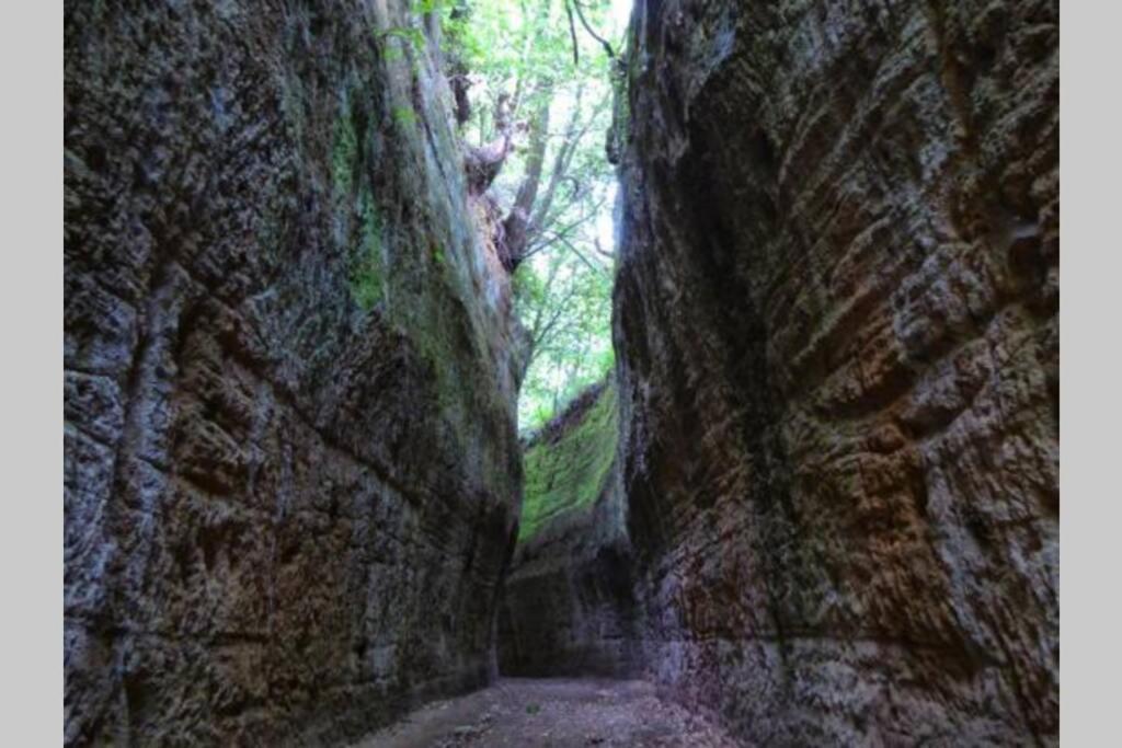 דירות פיטיליאנו La Casa All'Oliveto מראה חיצוני תמונה